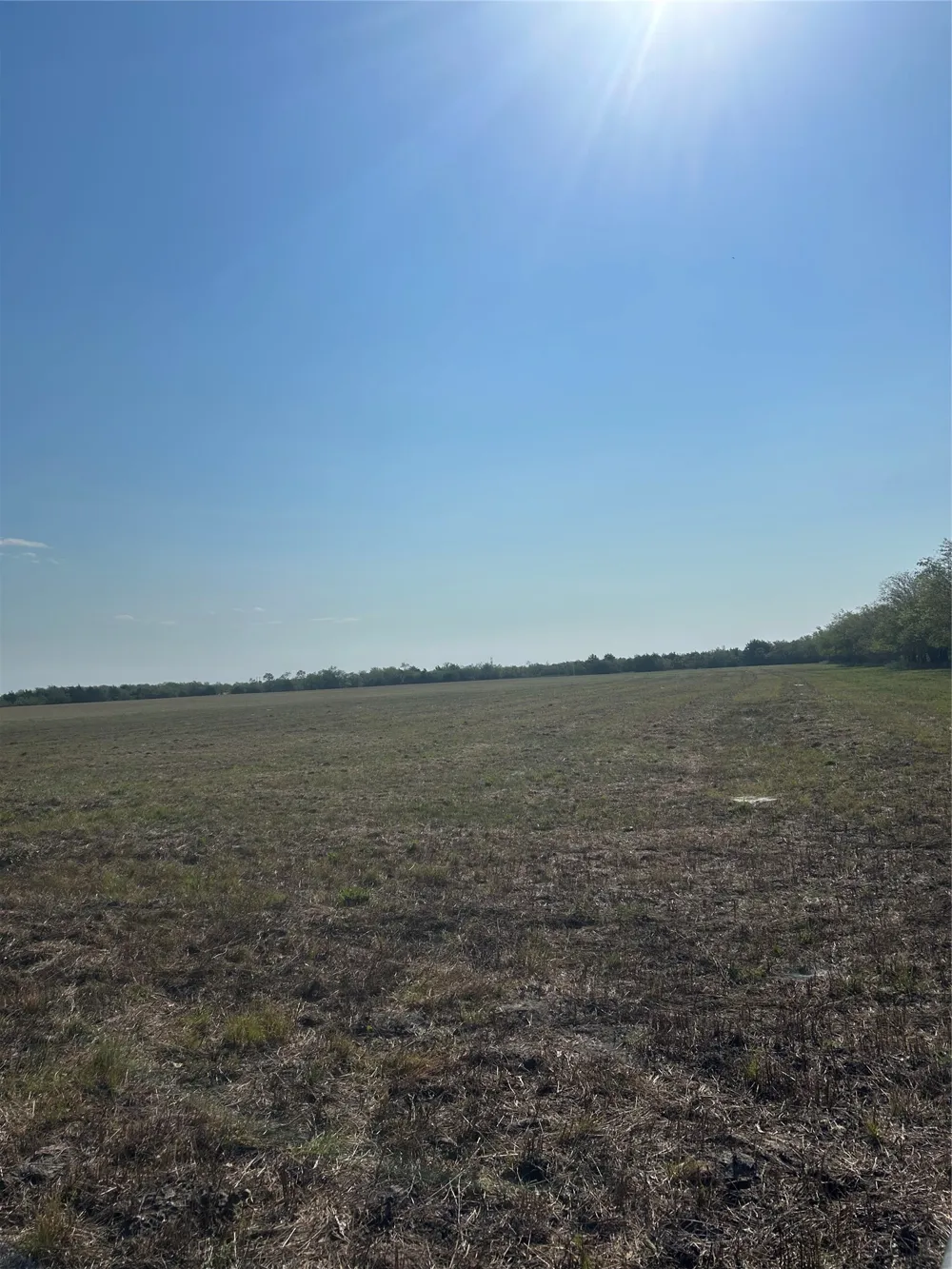 Quail Ln Terrell, TX 75160