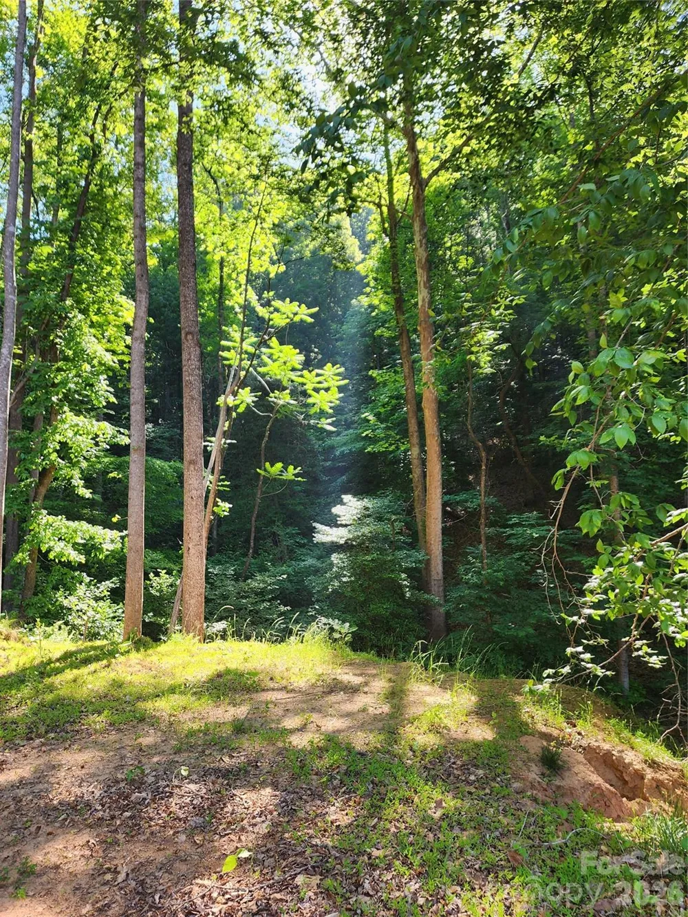 TBD Boone Gap Lane Taylorsville, NC 28681