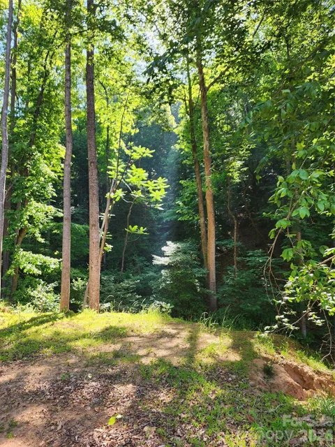 TBD Boone Gap Lane