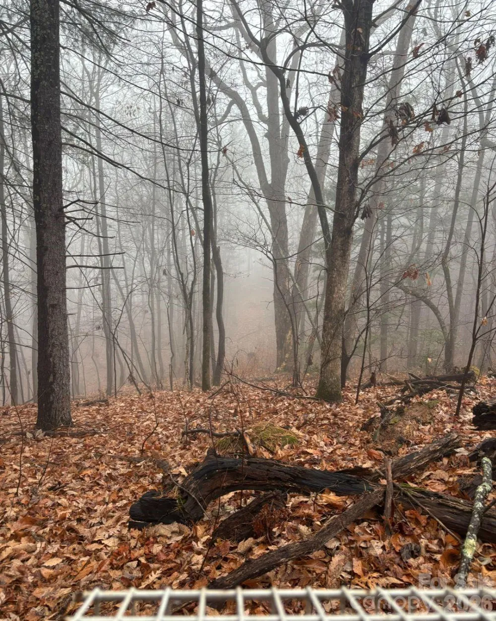 TBD Boone Gap Lane Taylorsville, NC 28681