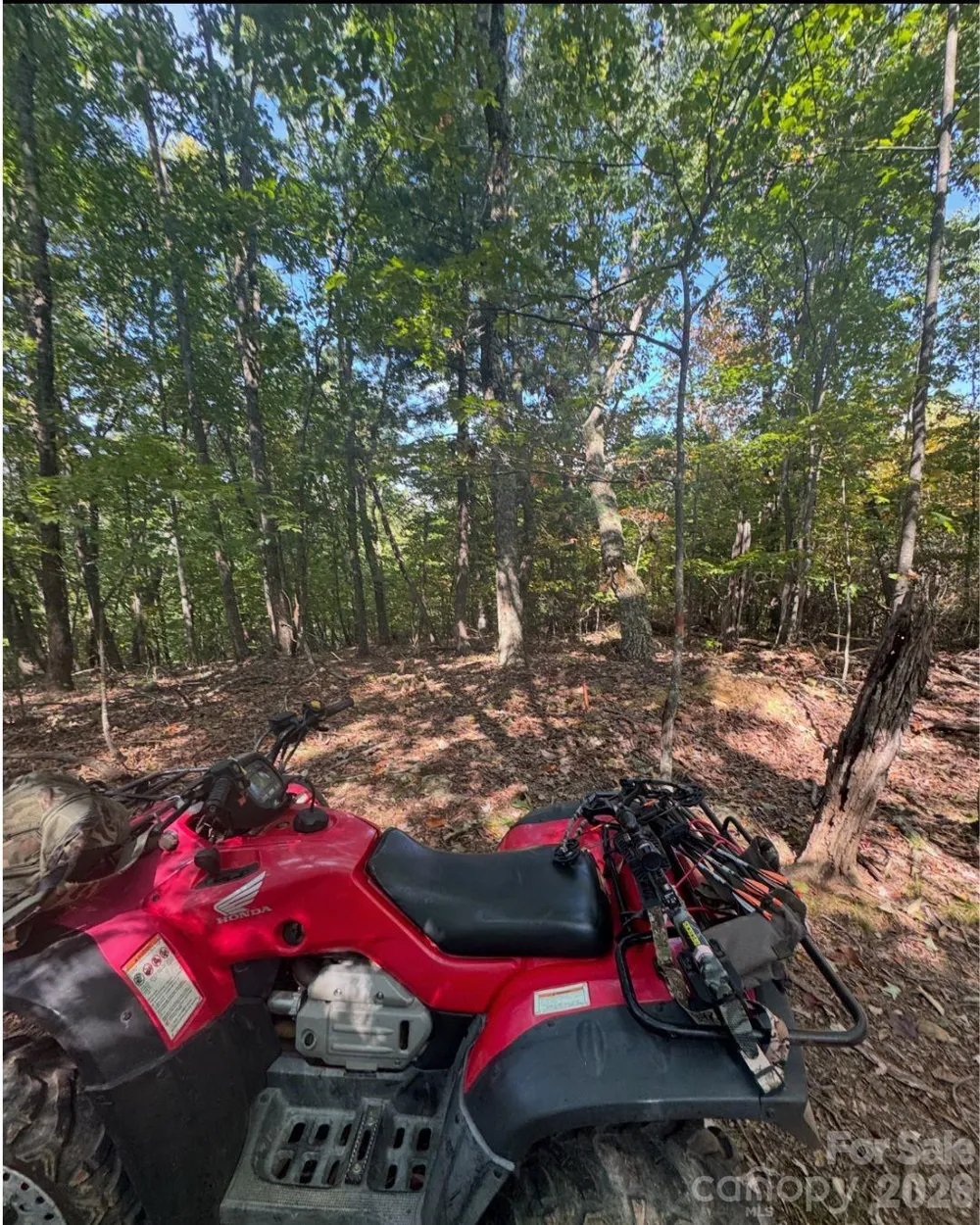 TBD Boone Gap Lane Taylorsville, NC 28681
