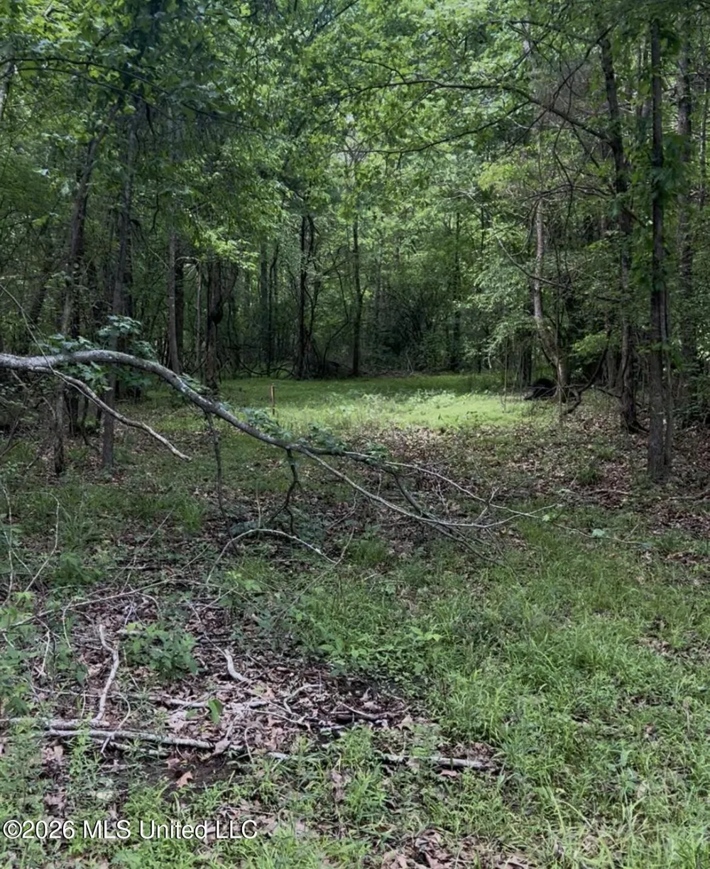 5235 Highway 51 Hernando, MS 38632
