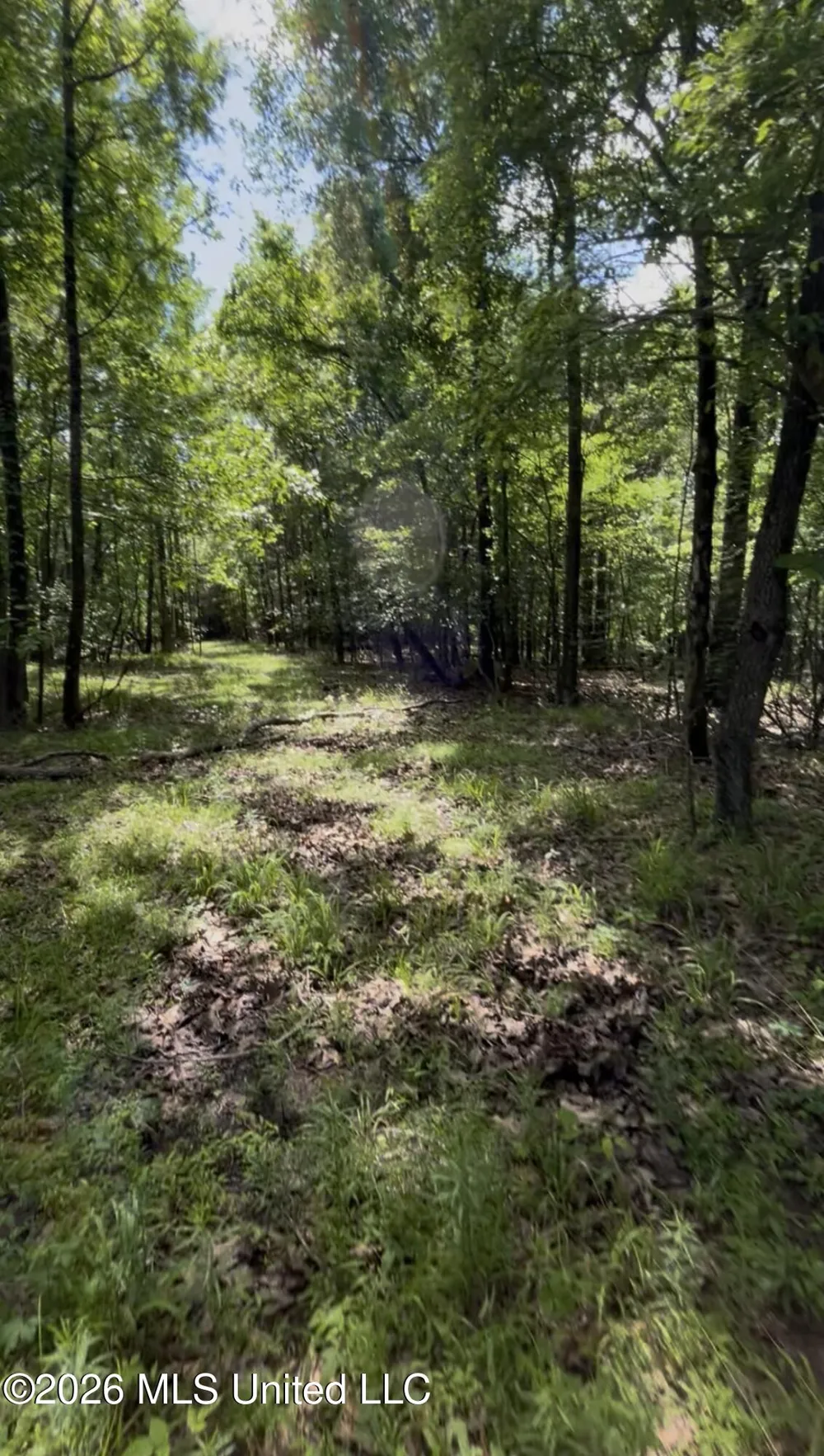 5235 Highway 51 Hernando, MS 38632
