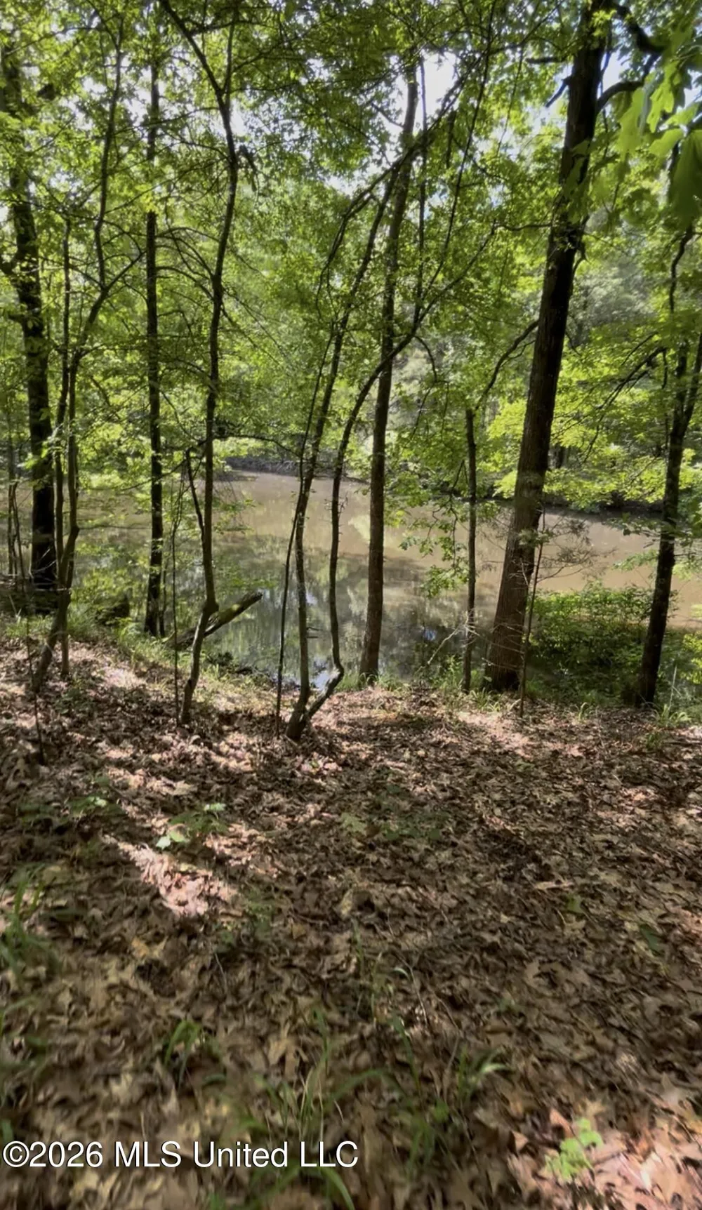 5235 Highway 51 Hernando, MS 38632