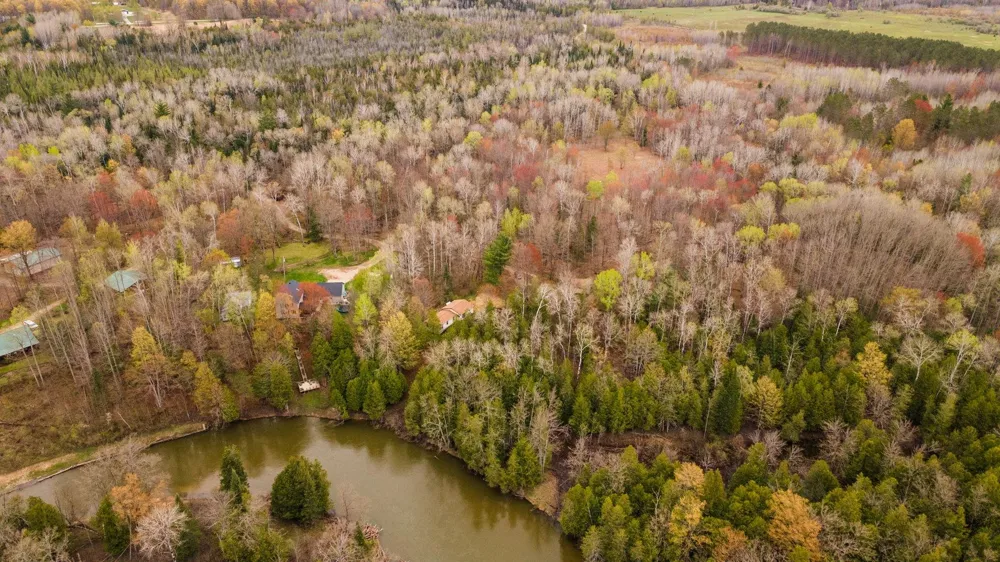 11012 31 ROAD Greenwood Township, MI 49649
