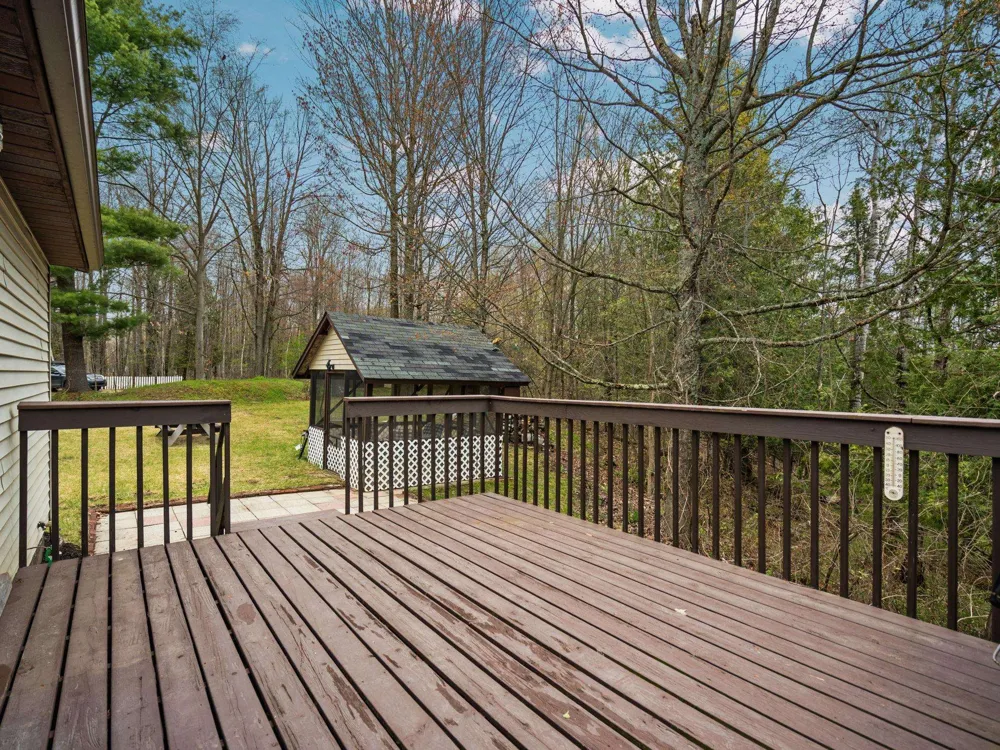11012 31 ROAD Greenwood Township, MI 49649