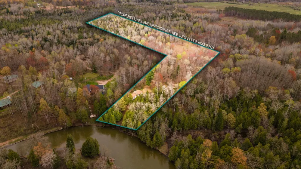 11012 31 ROAD Greenwood Township, MI 49649