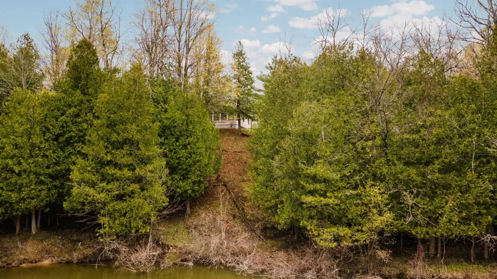 11012 31 ROAD Greenwood Township, MI 49649