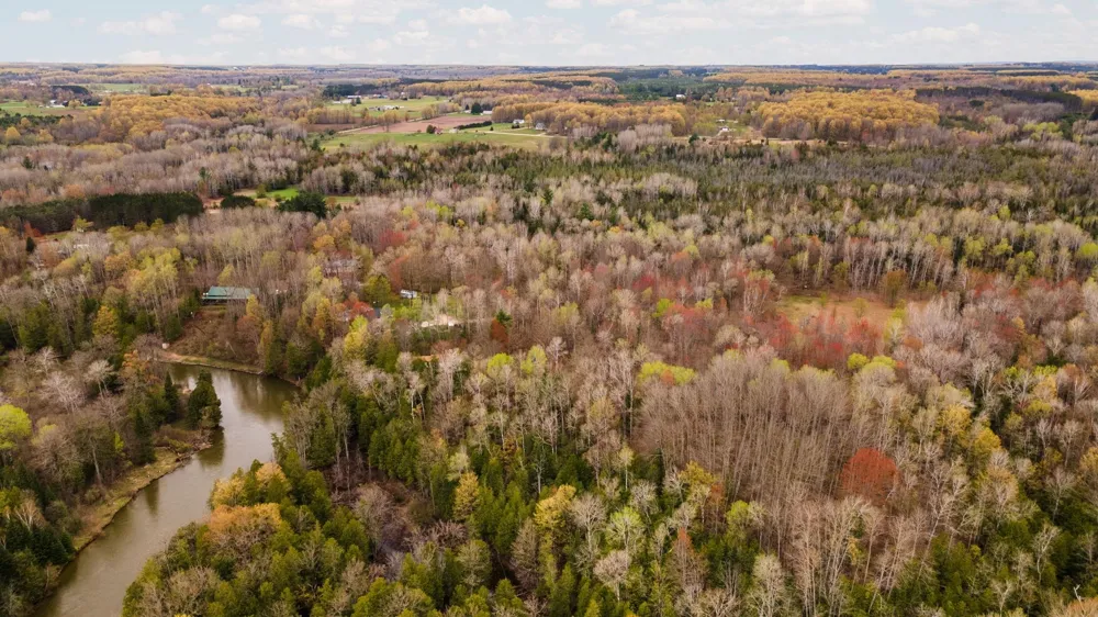 11012 31 ROAD Greenwood Township, MI 49649