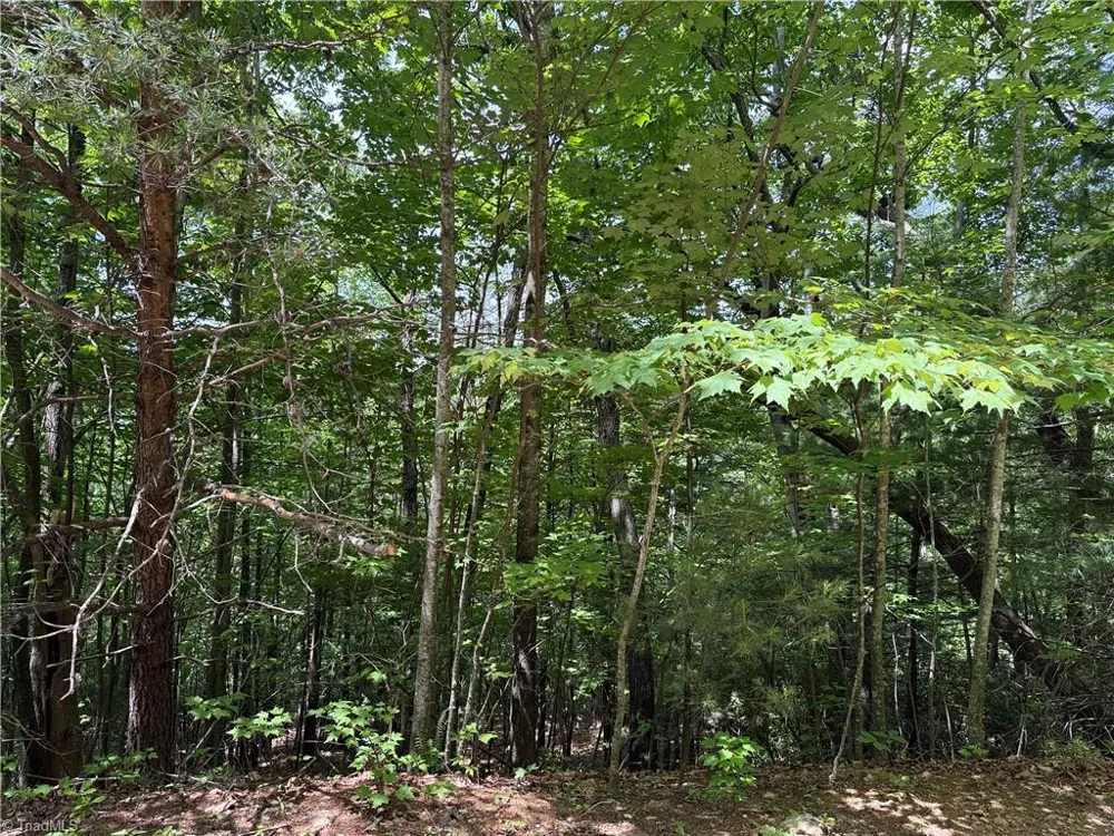 Lot 132A Warren Way Purlear, NC 28665
