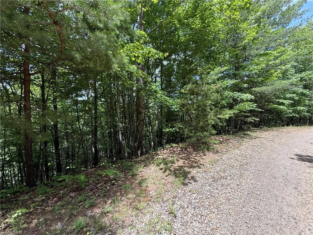Lot 132A Warren Way Purlear, NC 28665