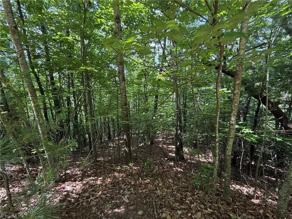 Lot 132A Warren Way Purlear, NC 28665