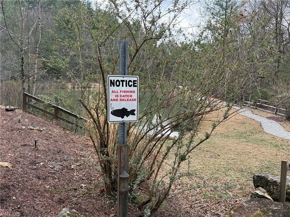 Lot 132A Warren Way Purlear, NC 28665