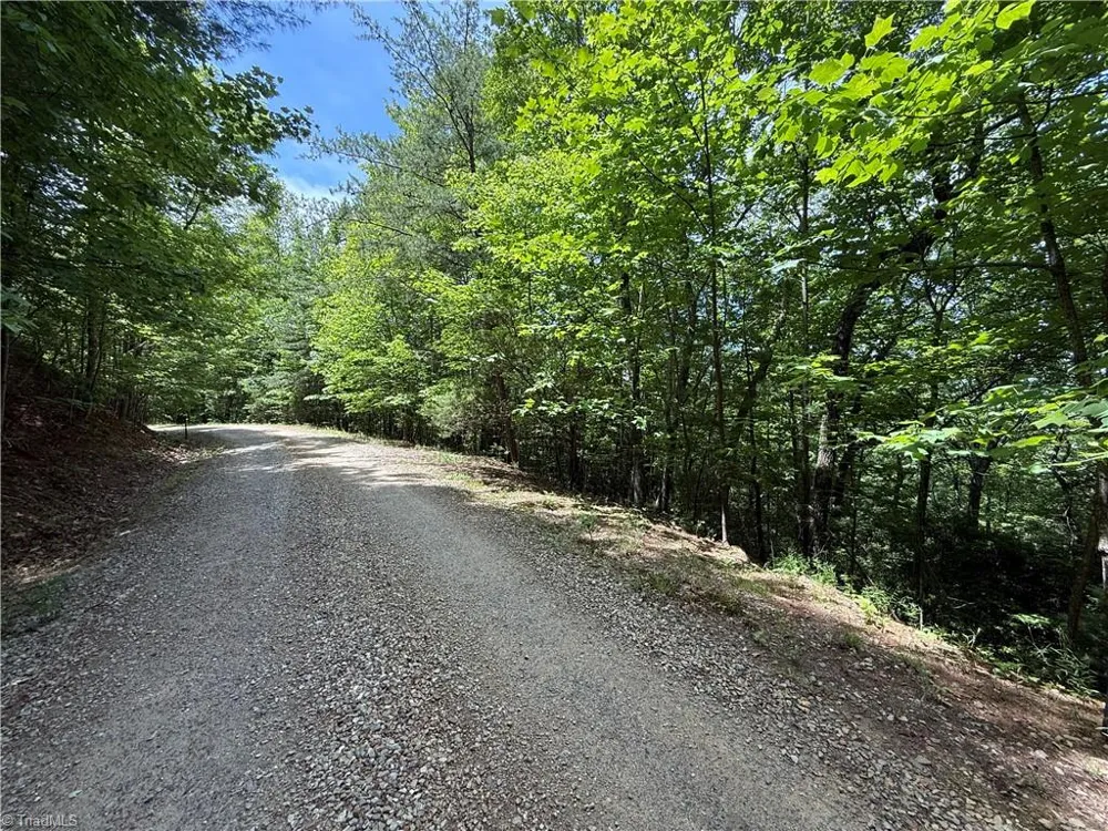 Lot 132A Warren Way Purlear, NC 28665