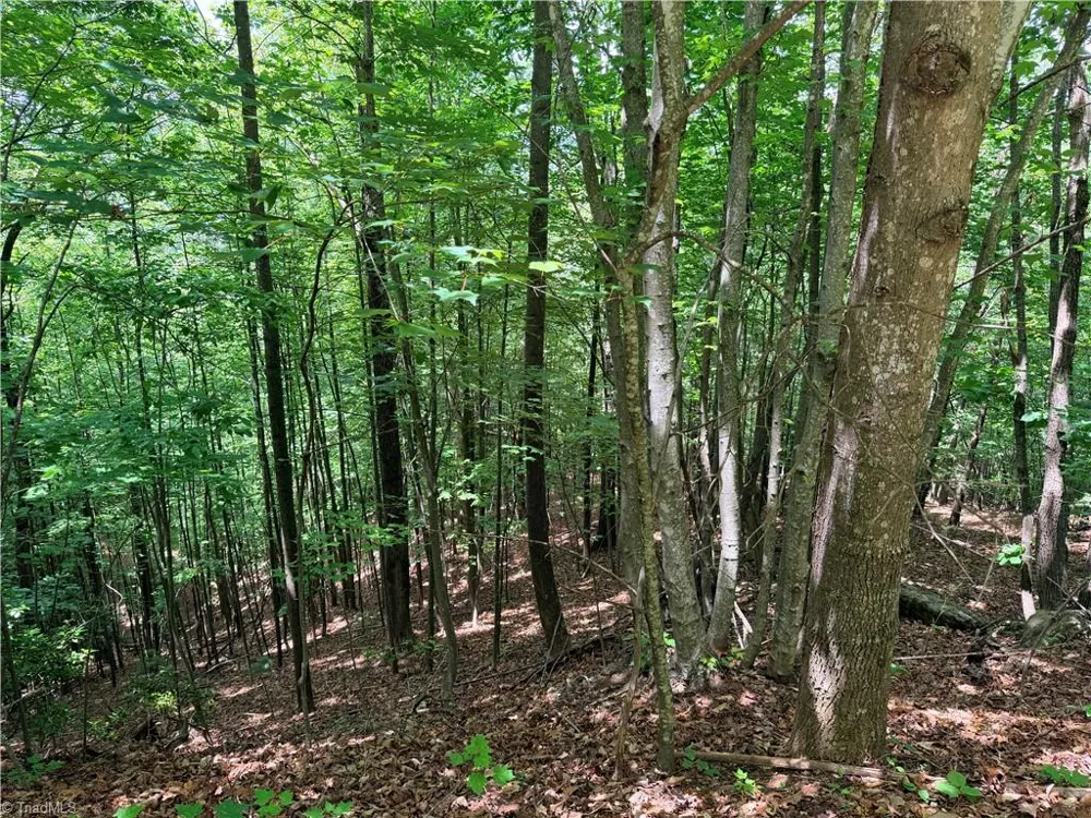 Lot 132A Warren Way Purlear, NC 28665