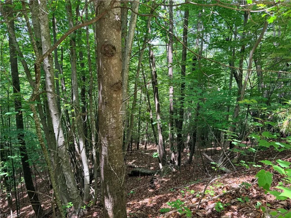 Lot 132A Warren Way Purlear, NC 28665