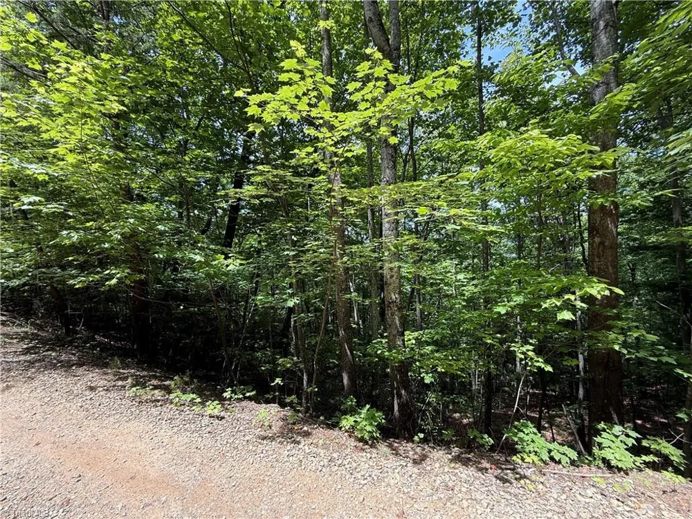 Lot 132A Warren Way Purlear, NC 28665