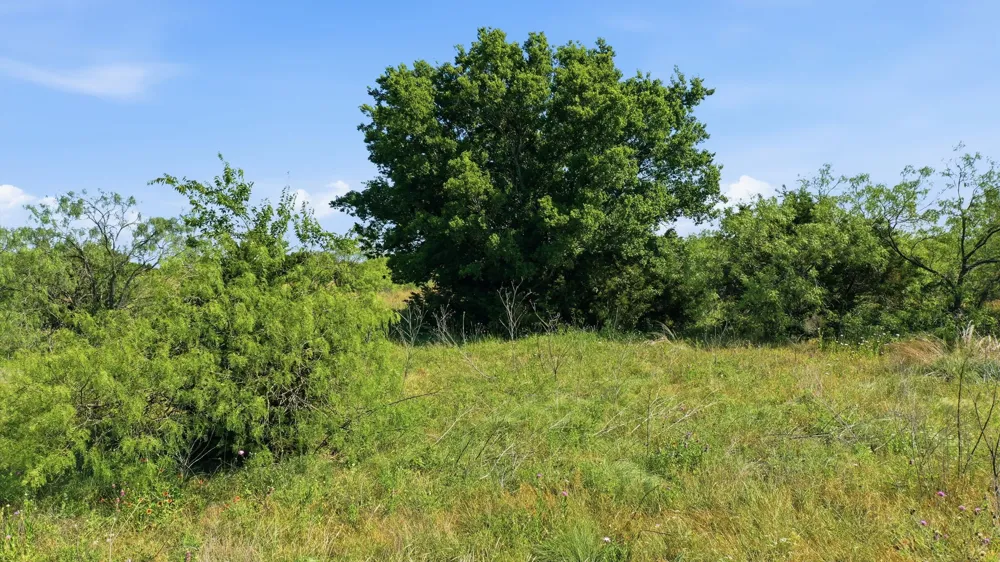 Private 191 Road Blum, TX 76627