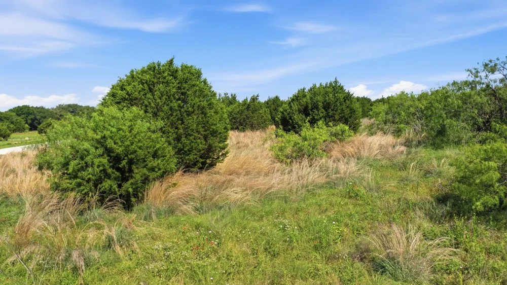 Private 191 Road Blum, TX 76627