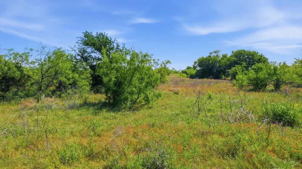 Private 191 Road Blum, TX 76627