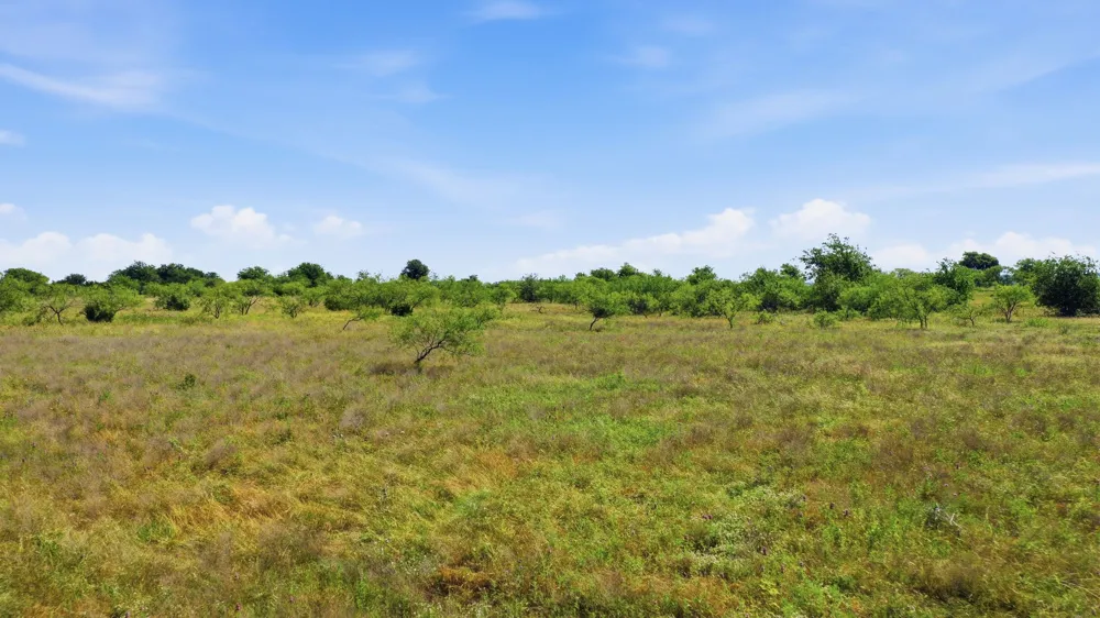 Private 191 Road Blum, TX 76627