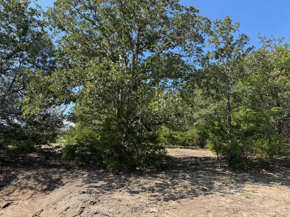 13115 Schoenemann Road Carmine, TX 78932