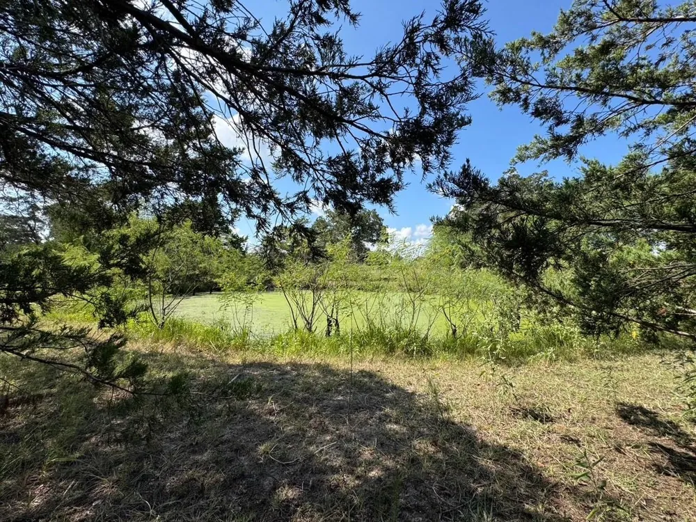 13115 Schoenemann Road Carmine, TX 78932