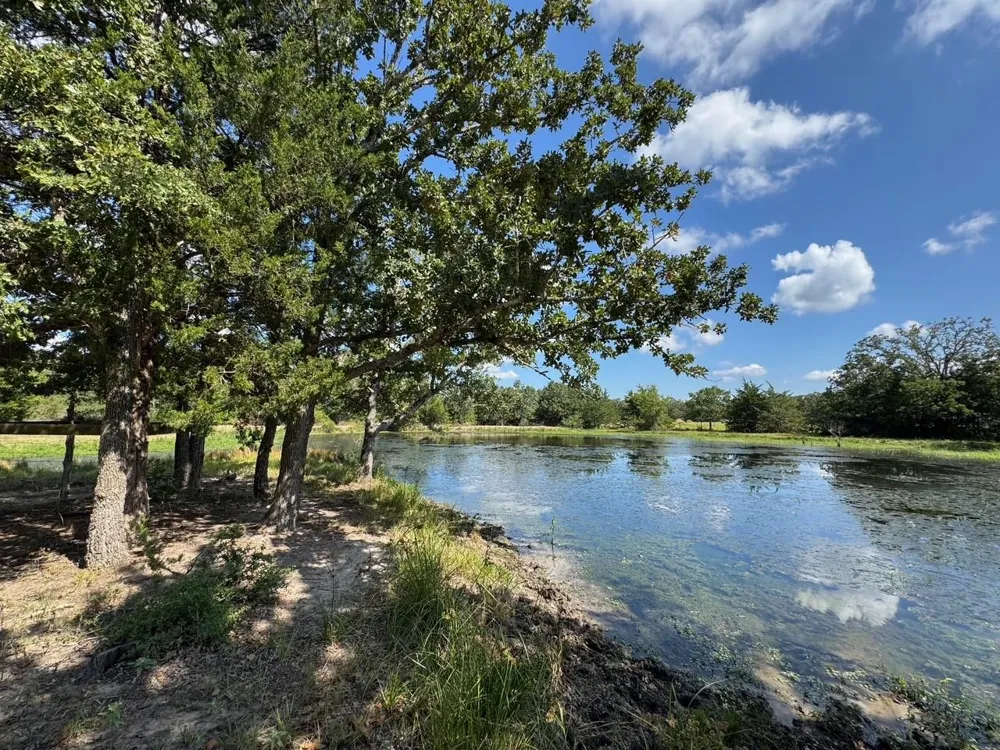 13115 Schoenemann Road Carmine, TX 78932
