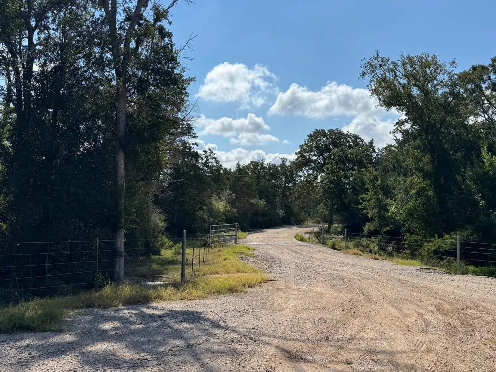 13115 Schoenemann Road Carmine, TX 78932