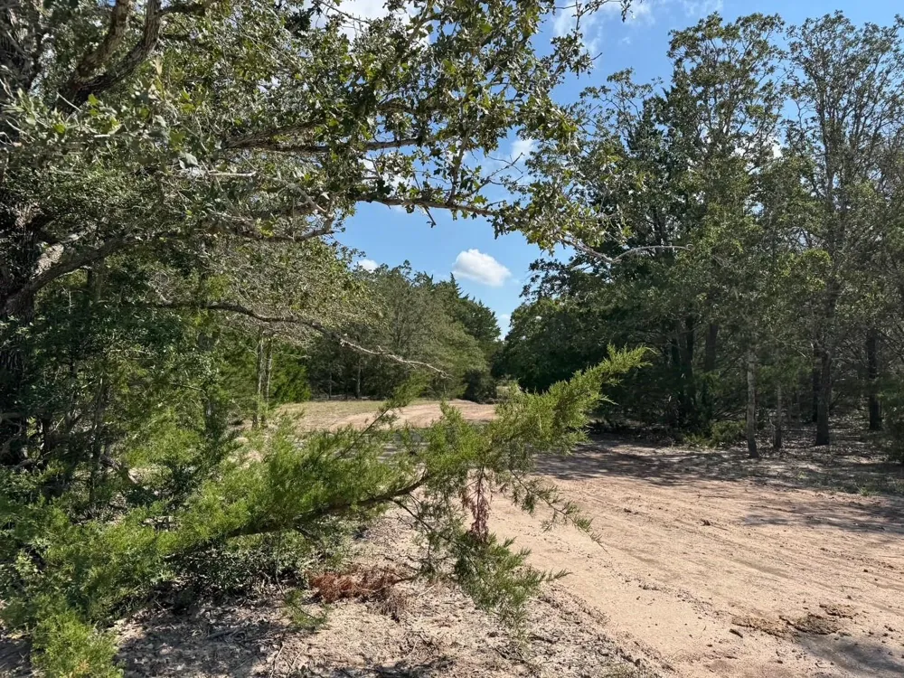 13115 Schoenemann Road Carmine, TX 78932