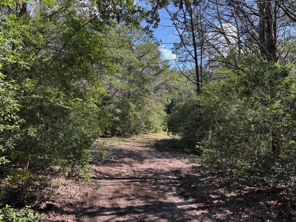13115 Schoenemann Road Carmine, TX 78932