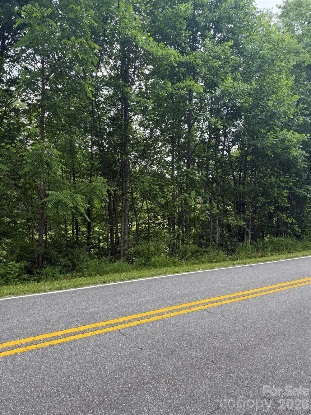 Lot 3 Parker Padgett Road Old Fort, NC 28762