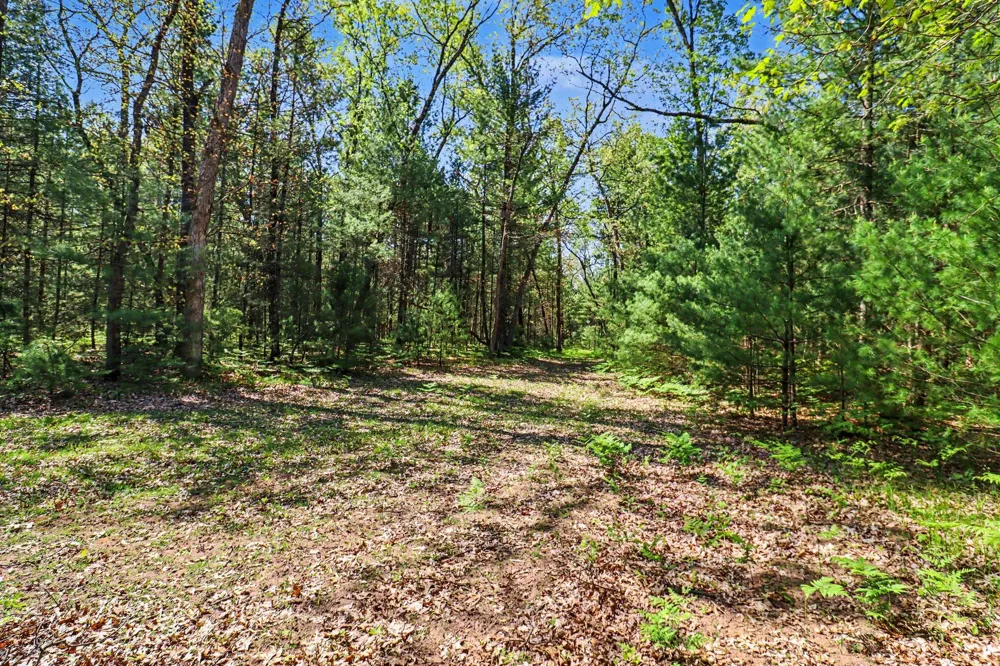 7766 E Bradshaw Branch, MI 49402