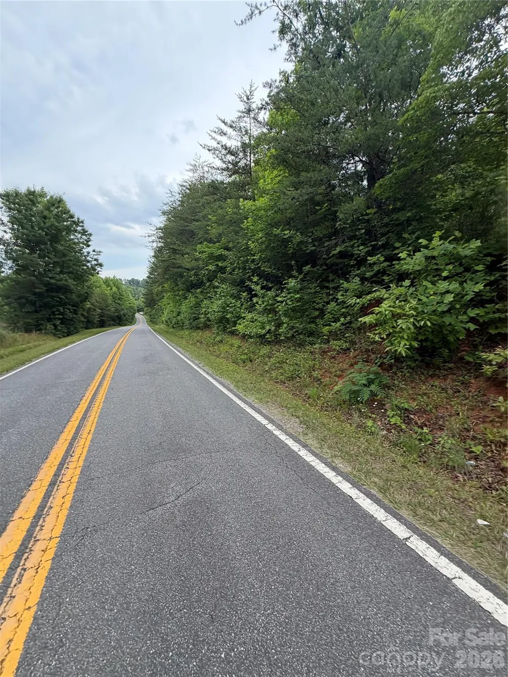 Lot 9 Parker Padgett Road Old Fort, NC 28762