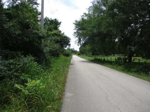 ROBINSON STREET