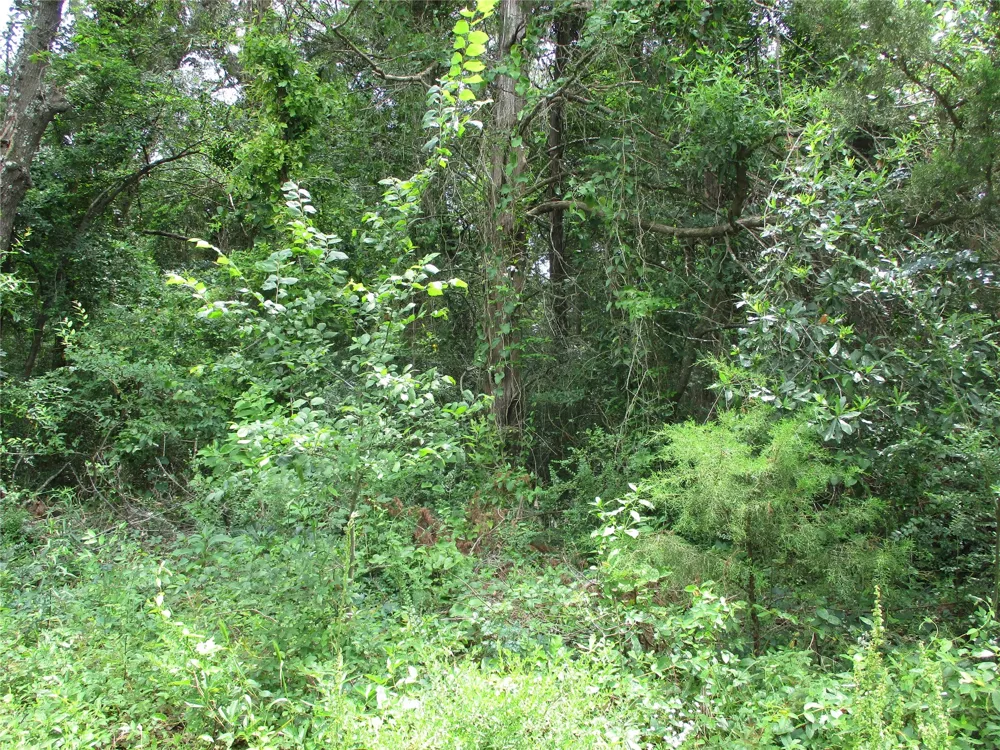 ROBINSON STREET Emory, TX 75440