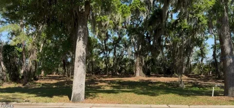 Soap Creek