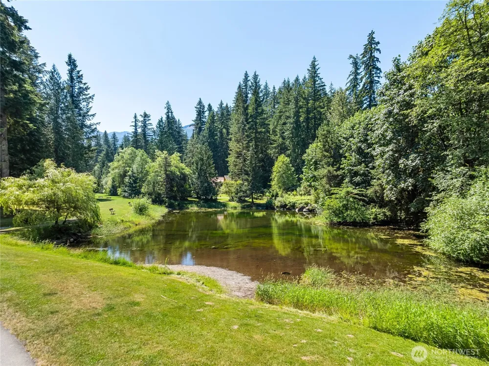 7077 Austin Pass Road Glacier, WA 98244