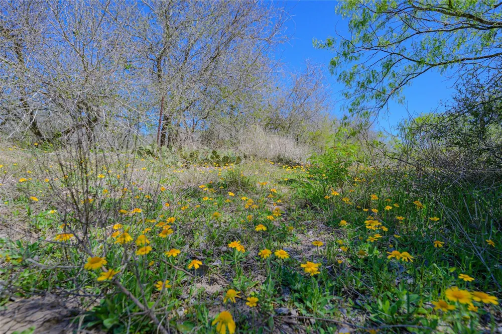 5923 Fm 1726 Goliad, TX 77963