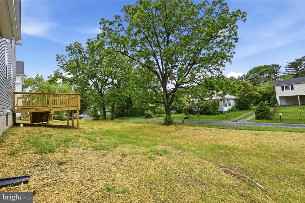 159 LAUCK DR Winchester, VA 22603