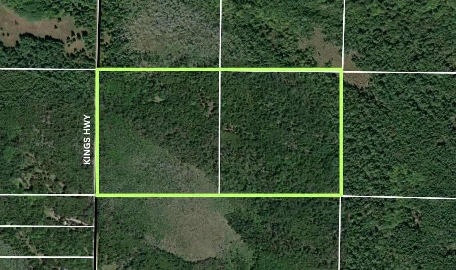 Kings Highway Peaine Township, MI 49782