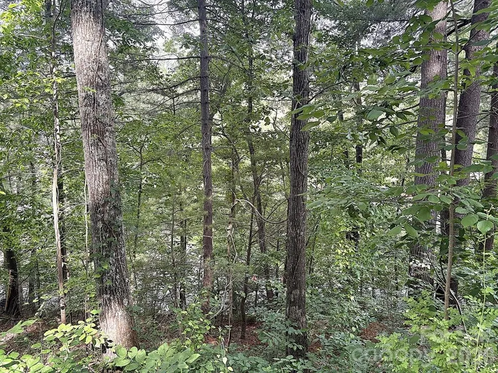 000 Toms Park Circle #66 Hendersonville, NC 28792