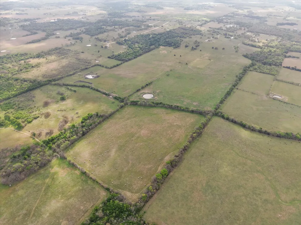 Fm 709 S Purdon, TX 76679