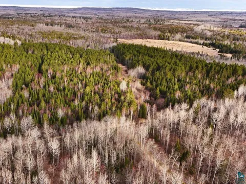 64xx Bergquist Road