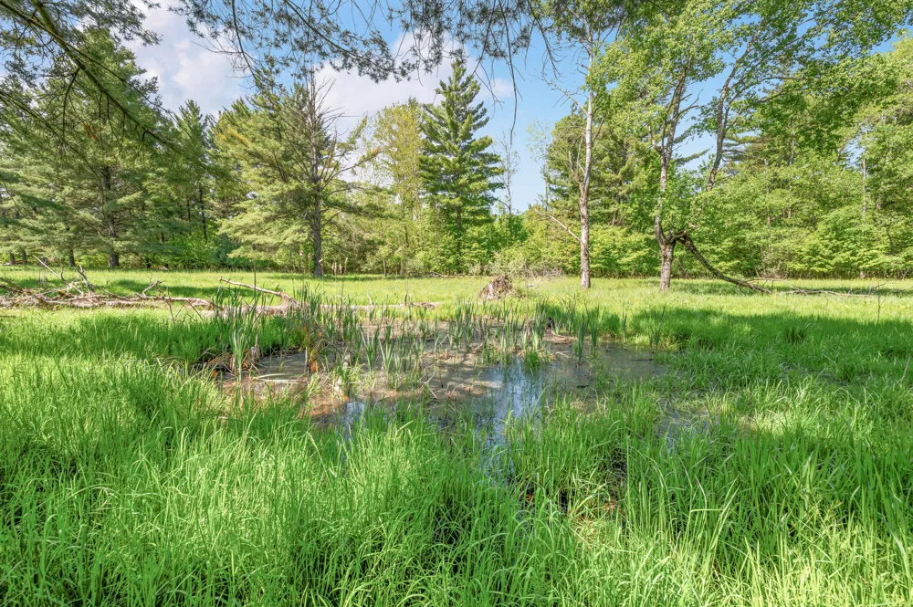 220th Avenue Big Rapids, MI 49307