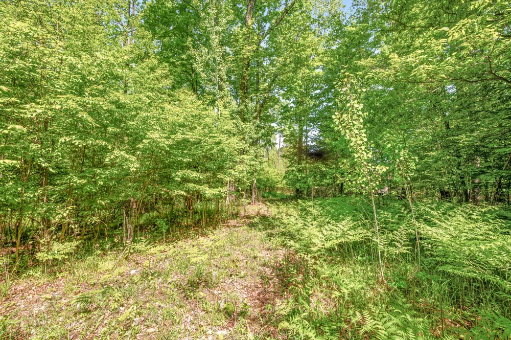 220th Avenue Big Rapids, MI 49307