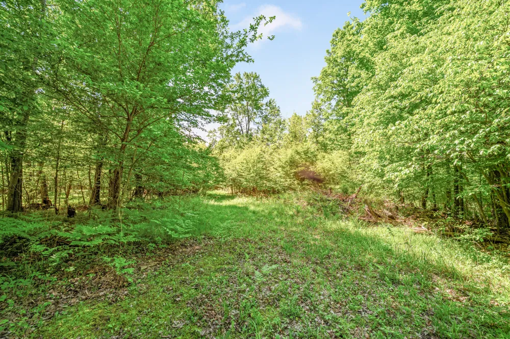 220th Avenue Big Rapids, MI 49307