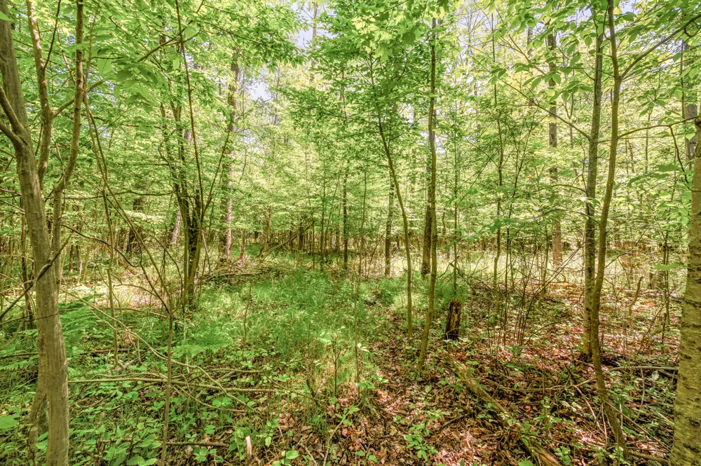 220th Avenue Big Rapids, MI 49307