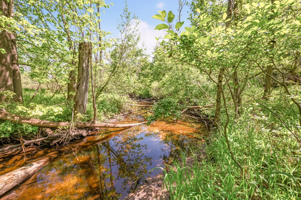 220th Avenue Big Rapids, MI 49307