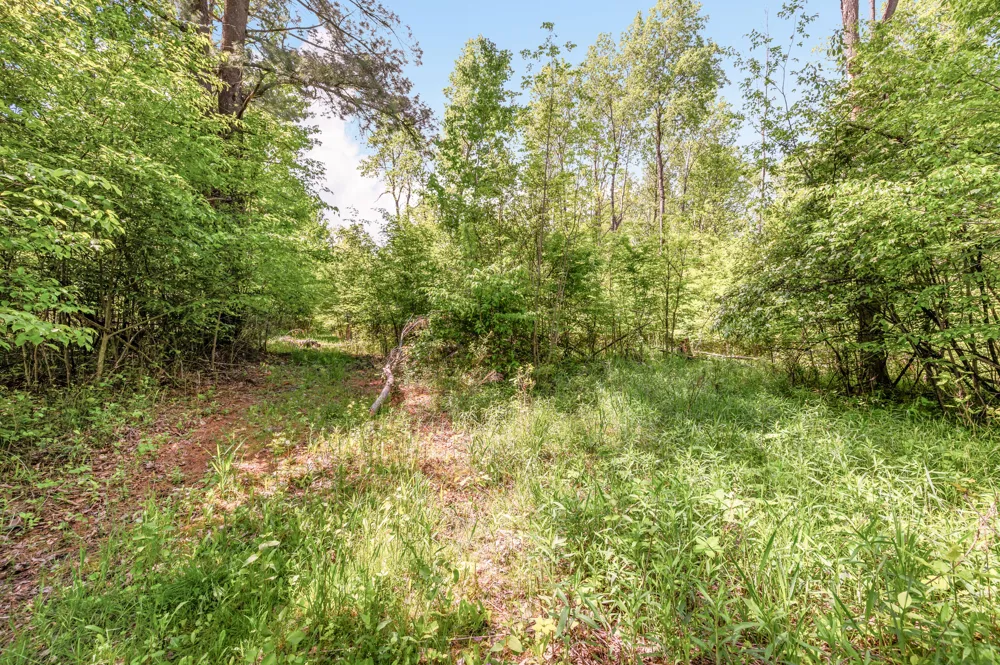 220th Avenue Big Rapids, MI 49307